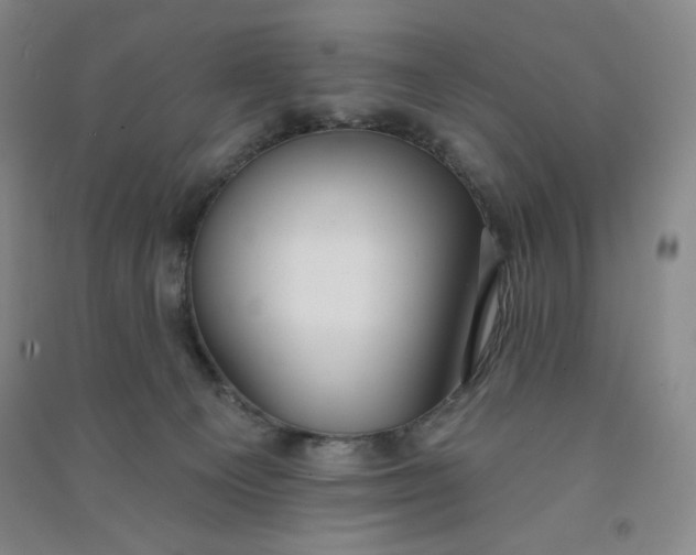 X0000090910129200708201751