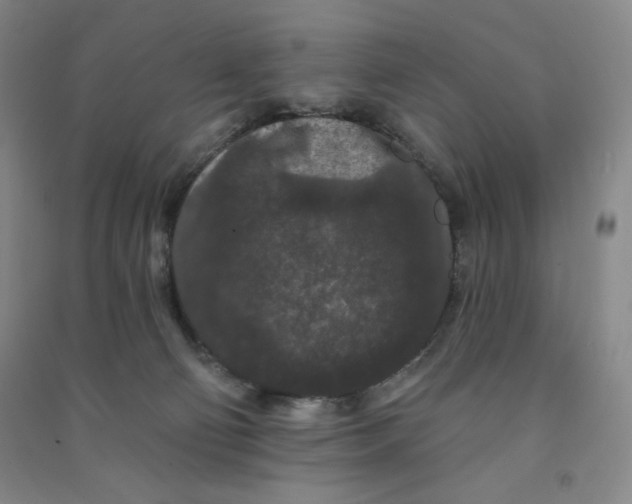 X0000090910130200708201751