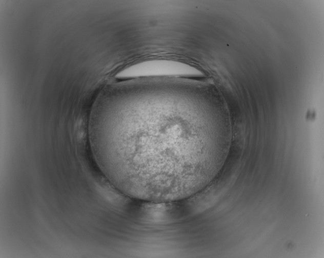 X0000090910131200708201751