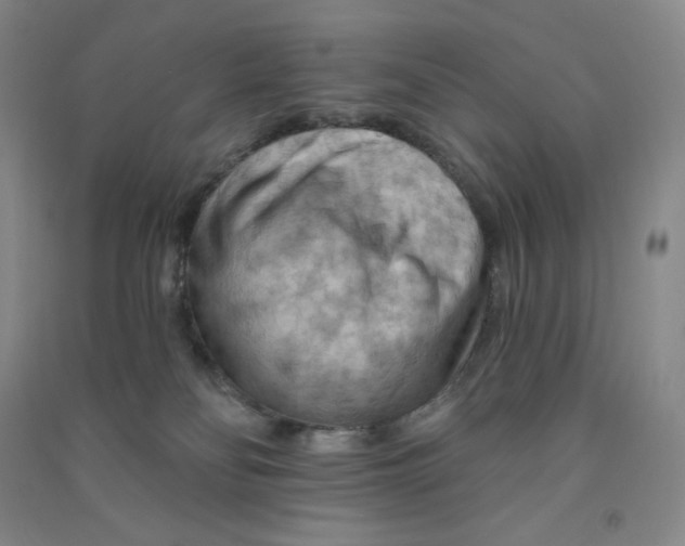 X0000090910134200708201751