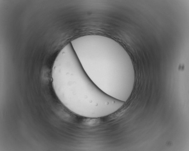 X0000090910135200708201751