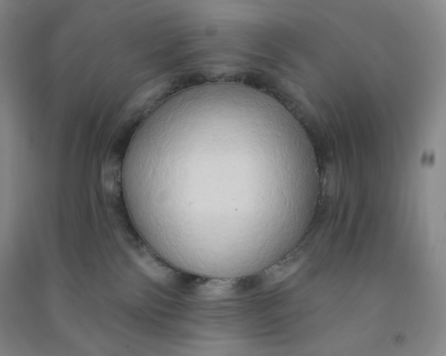 X0000090910138200708201751