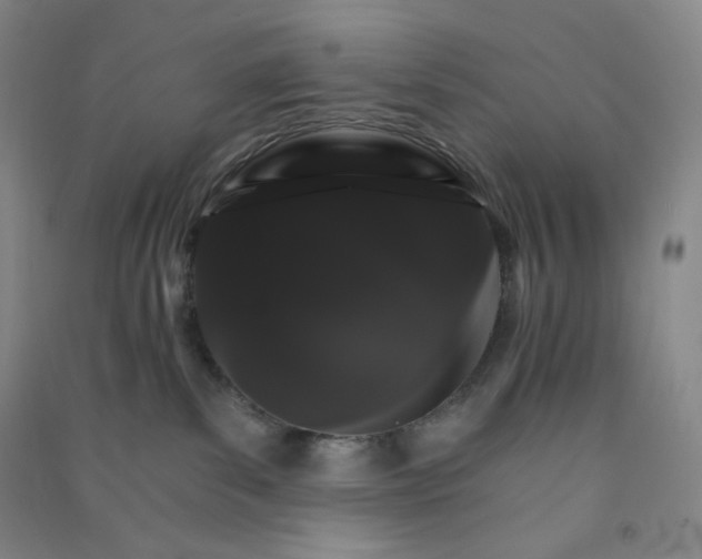 X0000090910139200708201751