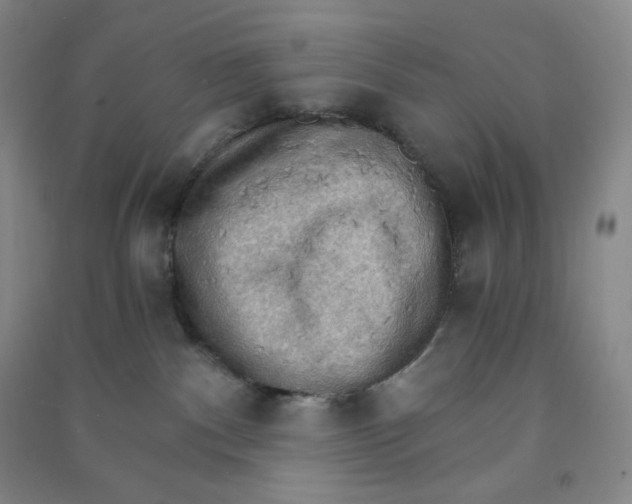 X0000090910140200708201751