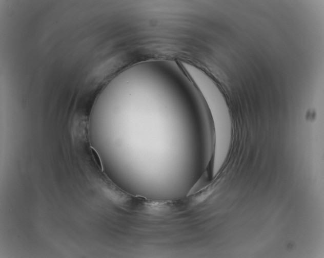 X0000090910141200708201751