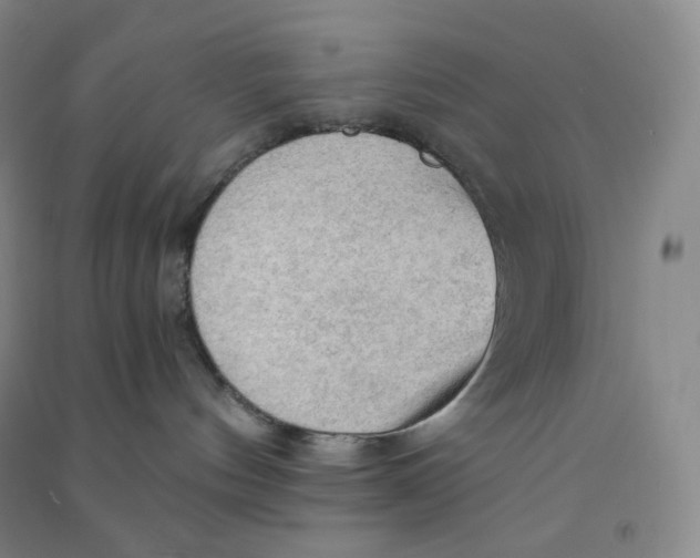 X0000090910144200708201750