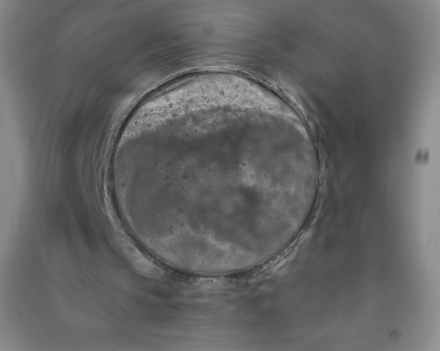 X0000090910145200708201750