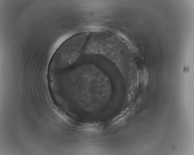 X0000090910147200708201750