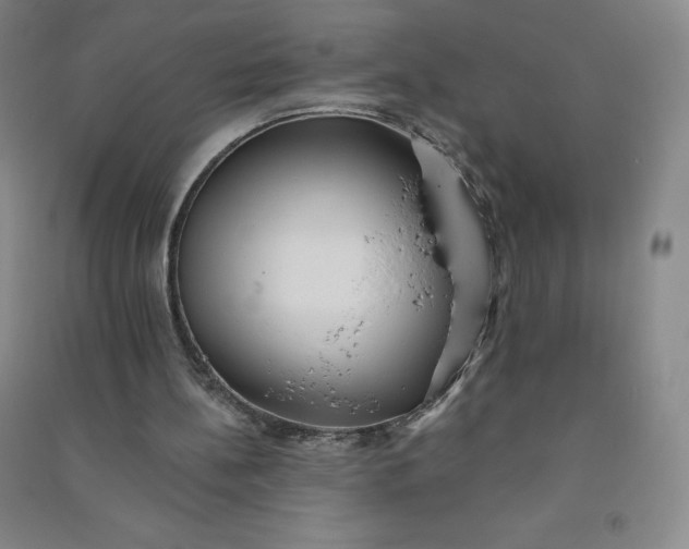 X0000090910148200708201750