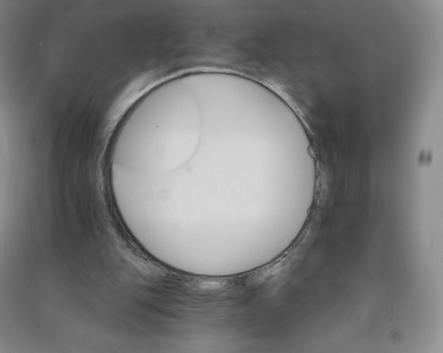 X0000090910151200708201750