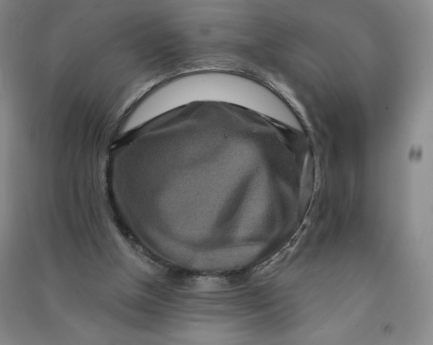 X0000090910154200708201750