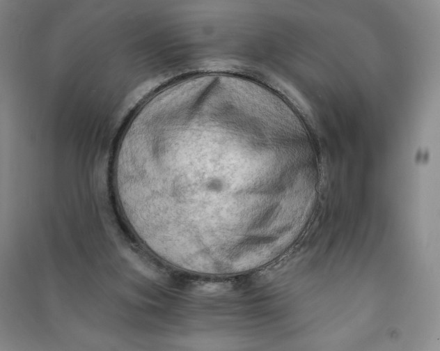 X0000090910155200708201750