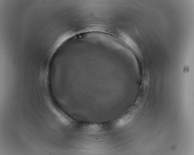 X0000090910156200708201750