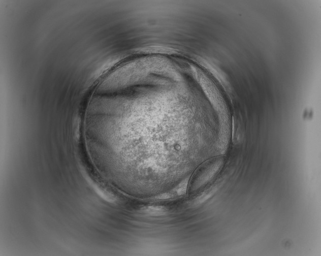 X0000090910157200708201750