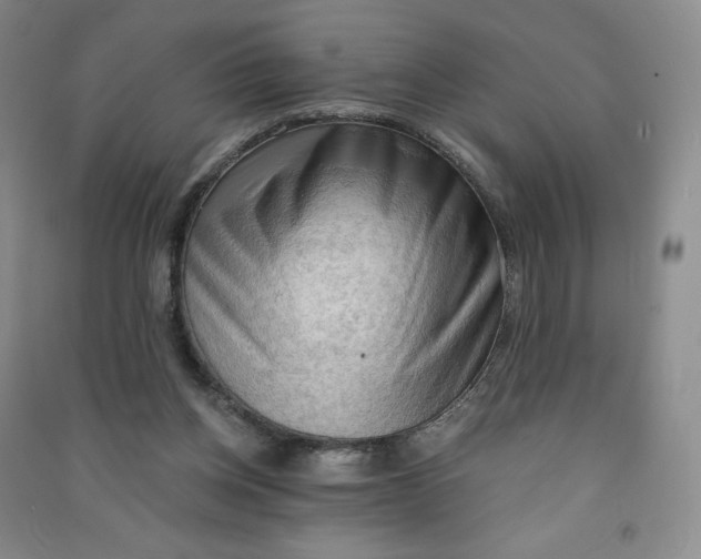 X0000090910158200708201750