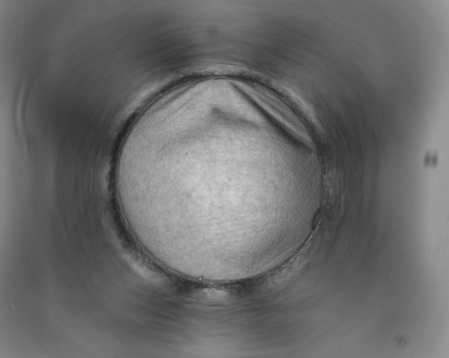 X0000090910159200708201750