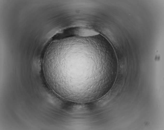 X0000090910160200708201750