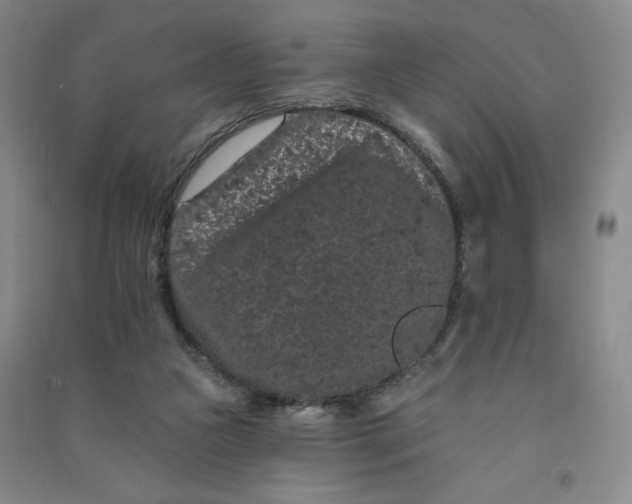 X0000090910161200708201750