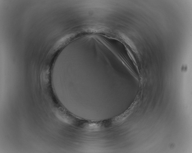 X0000090910163200708201750