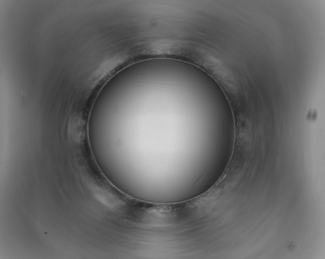 X0000090910164200708201750