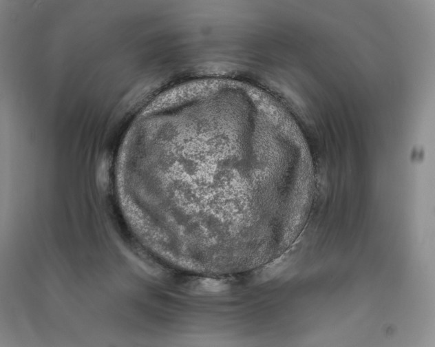 X0000090910166200708201750