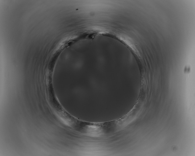 X0000090910167200708201750