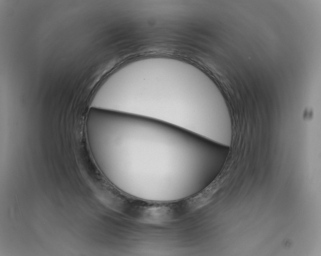 X0000090910168200708201750