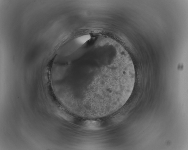 X0000090910169200708201750