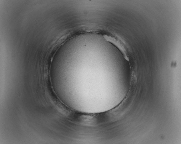 X0000090910170200708201750