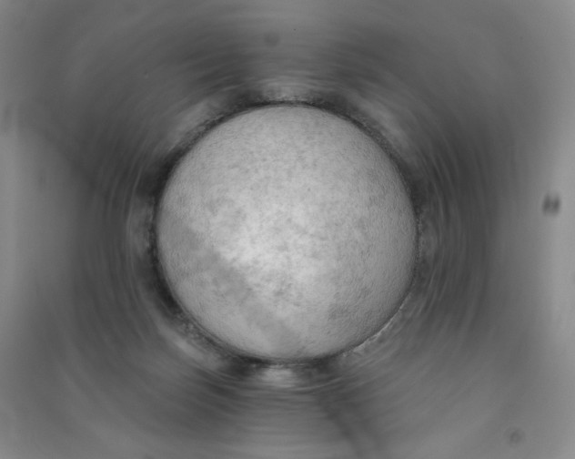 X0000090910171200708201750