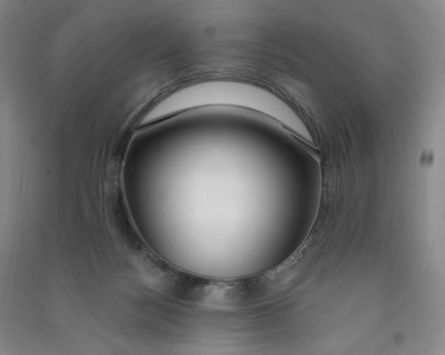 X0000090910172200708201750