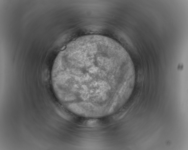 X0000090910173200708201750