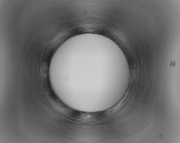 X0000090910174200708201750