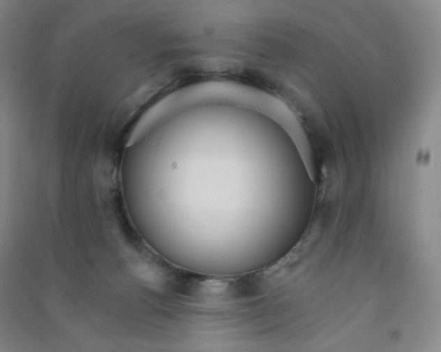 X0000090910176200708201750