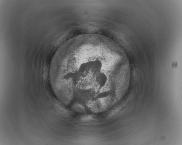 X0000090910177200708201750