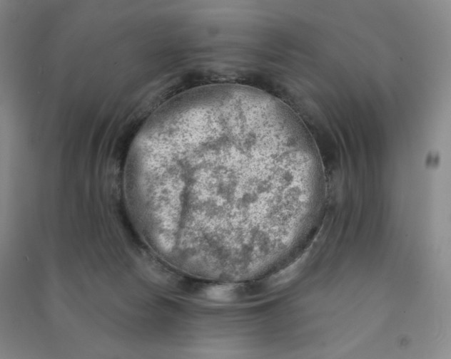 X0000090910178200708201750