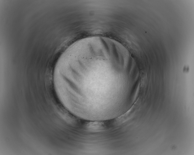 X0000090910179200708201750