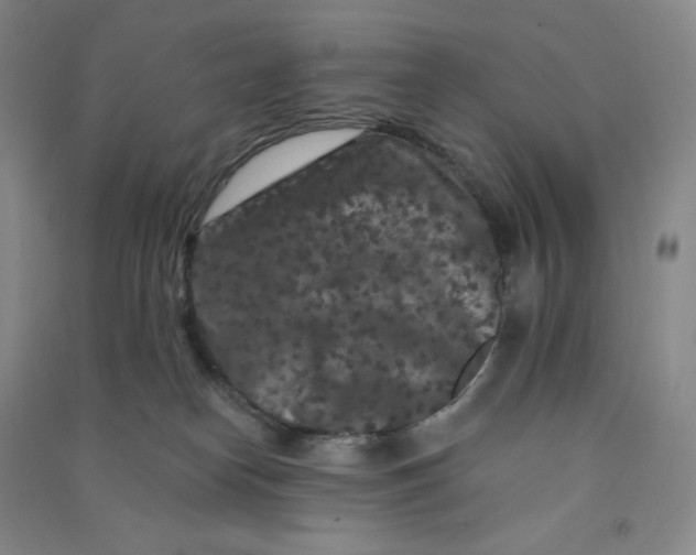 X0000090910182200708201750