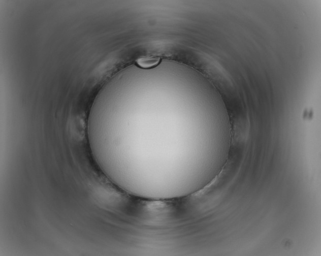 X0000090910183200708201750