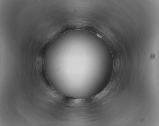 X0000090910184200708201750