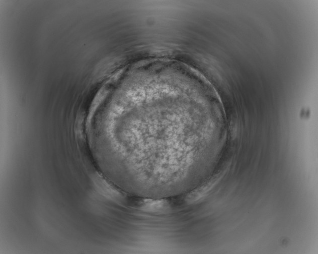 X0000090910185200708201750