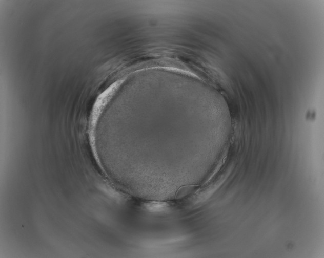 X0000090910189200708201750