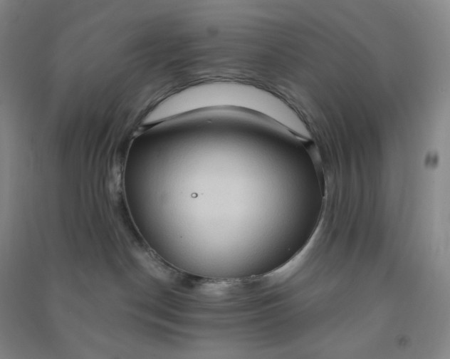 X0000090910190200708201750