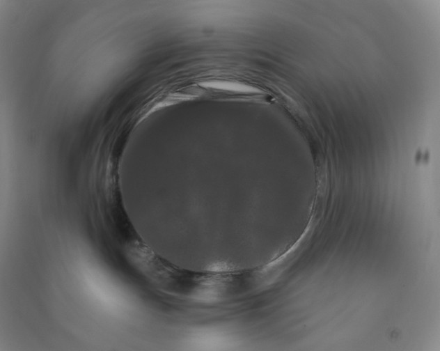 X0000090910191200708201750