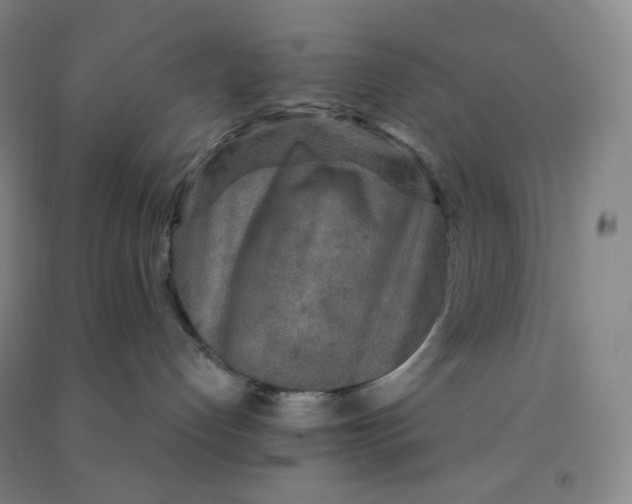 X0000090910192200708201750