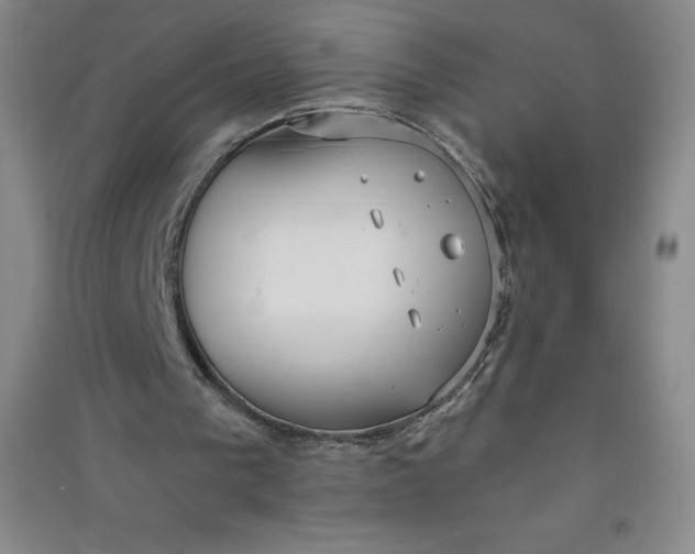 X0000090910193200708201750