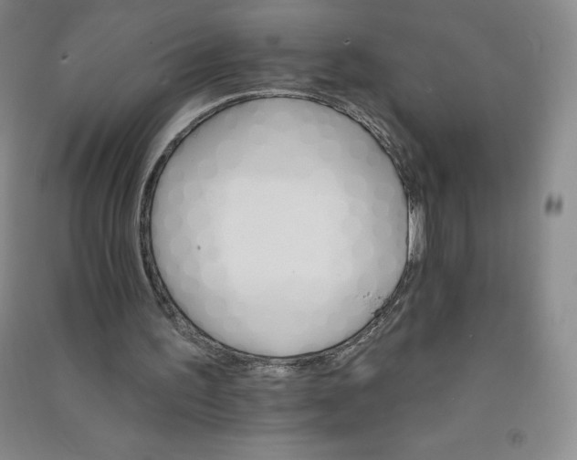 X0000090910195200708201750