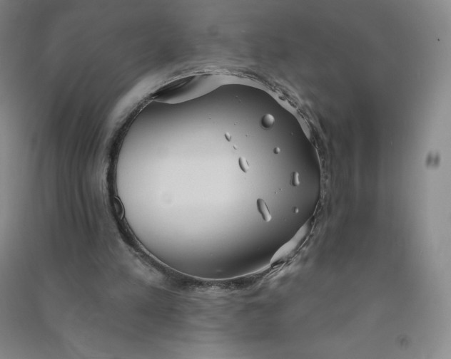 X0000090910197200708201750