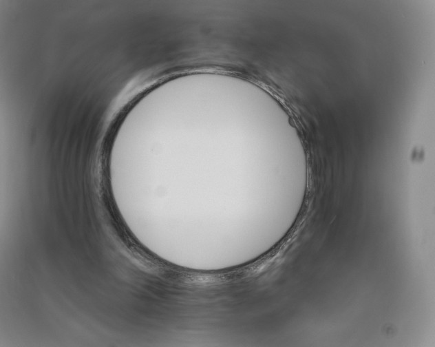 X0000090910198200708201750