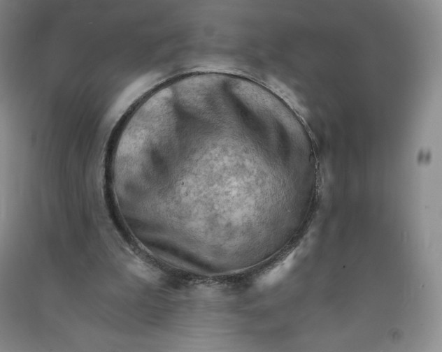 X0000090910199200708201750